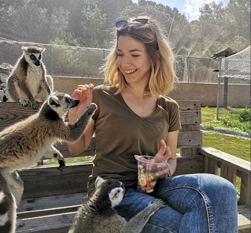 Feeding lemurs at Farma
